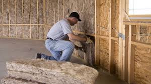 Best Spray Foam Insulation  in Franklin, VA