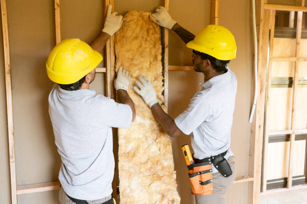 Best Insulation for New Construction  in Franklin, VA