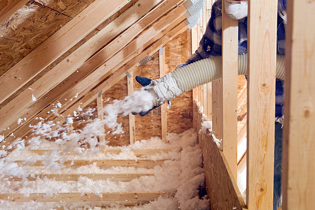 Best Crawl Space Insulation  in Franklin, VA